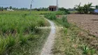 Đất Vườn 500m2 Giá 195tr Xã Phú Thạnh