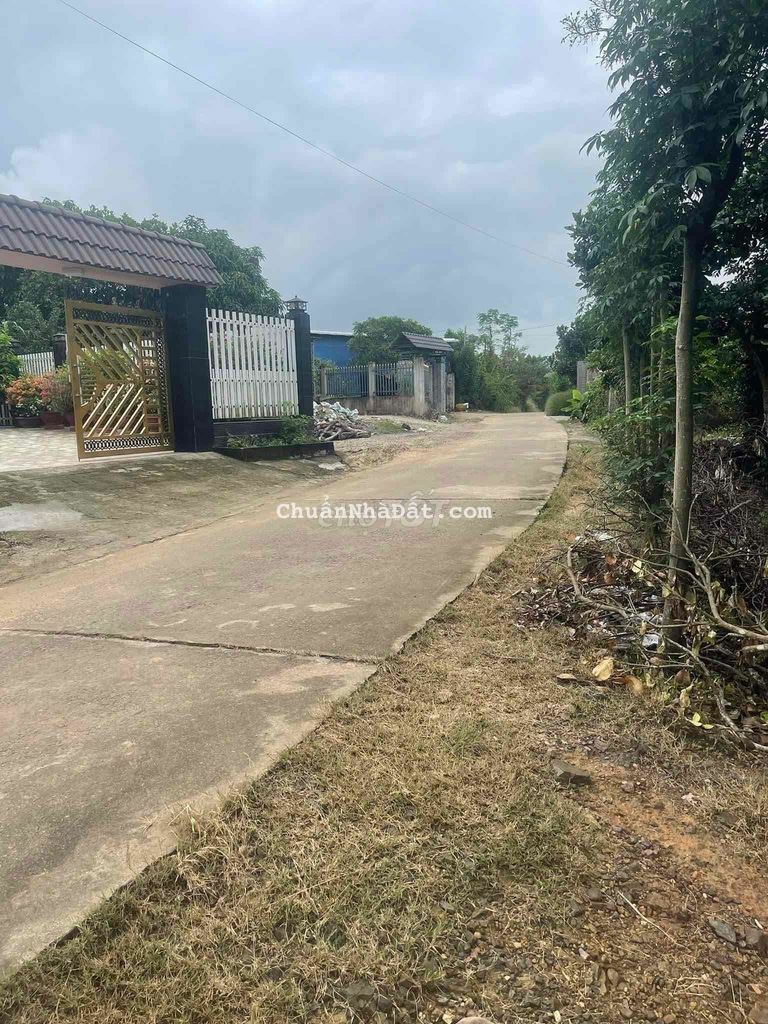 Bán 2000m2 có sẵn 300m2 thổ cư tại Tà Lài- Tân Phú chỉ 1.25 tỷ