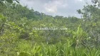 Bán 44x77 đất RẺ NHẤT Phú Thịnh, Huyện Tân Phú Đường 4m 275tr/ sào