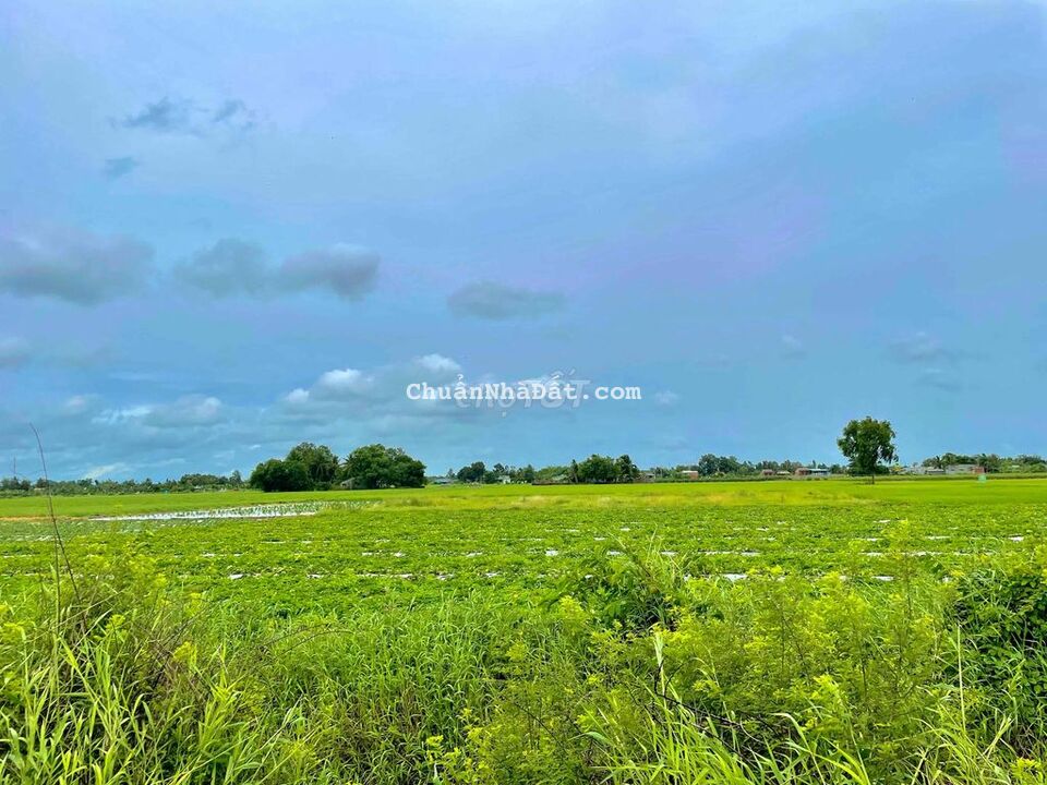 Đất thổ cư, đường đan ô tô gần bên hạ tầng Thị Trấn