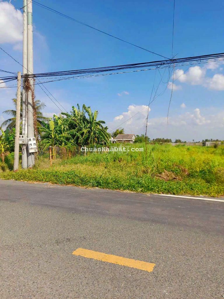 239m2 đất thổ mt đường xe cont Huỳnh Văn Đảnh Tân Trụ, Long An 1.75 tỷ