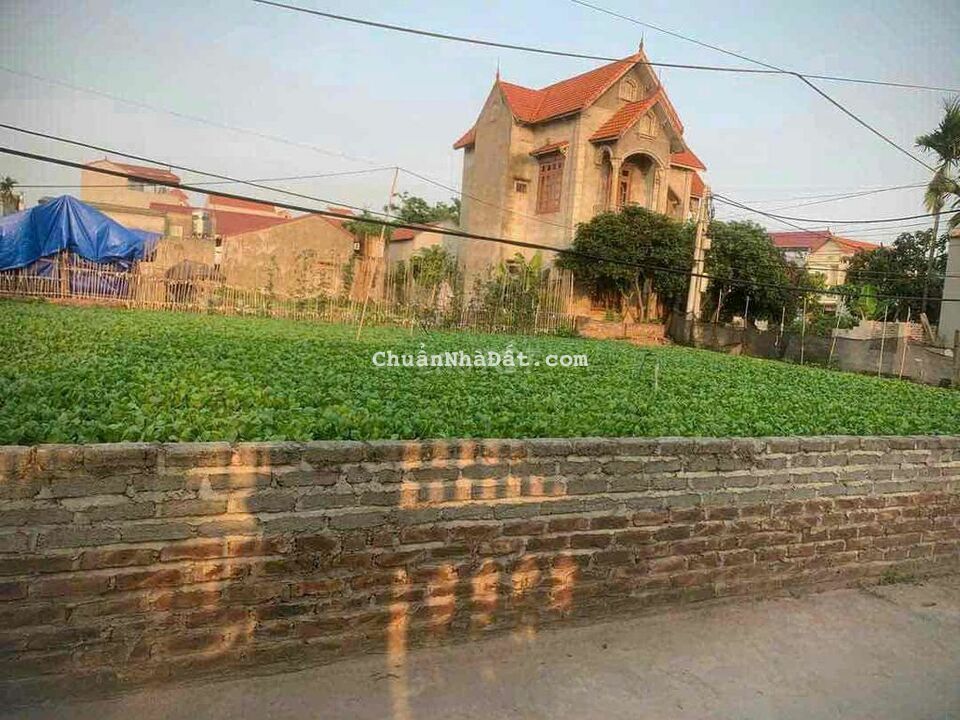 đất rẻ đường trục chính thông rộng 8m