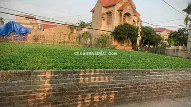 đất rẻ đường trục chính thông rộng 8m