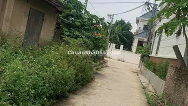 đất rẻ tự nhiên thường tín