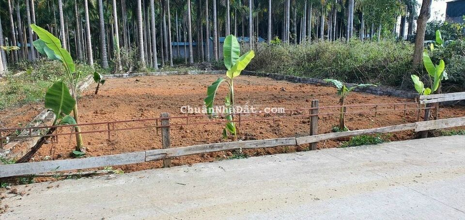 DT100m , MT 5m , đg 10m ,quá đẹp xây trọ,