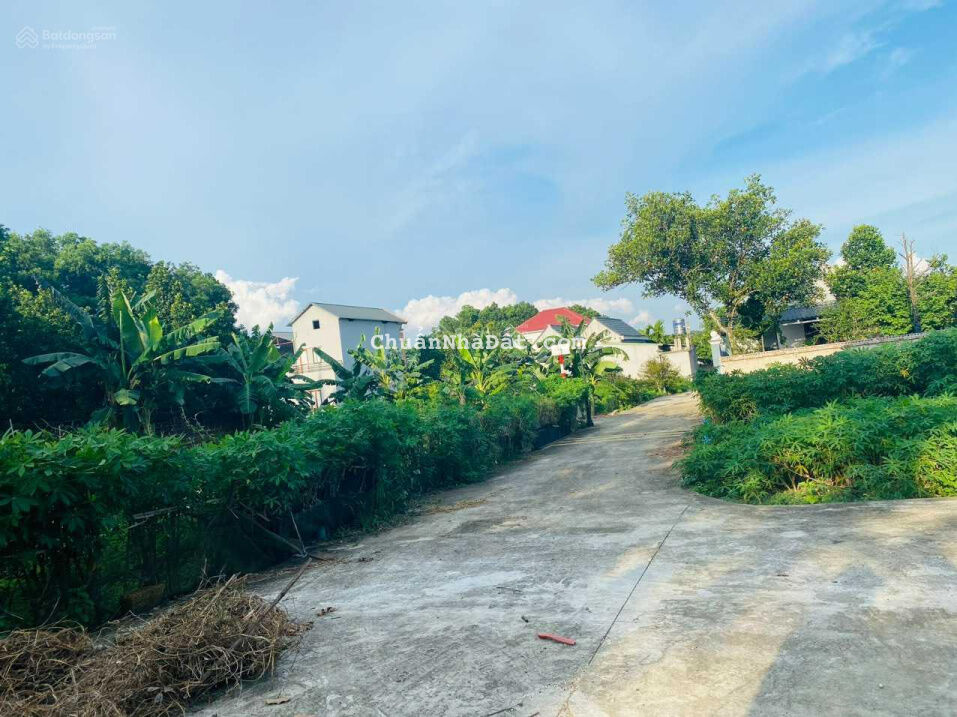 111m2 Tân Xã giá chỉ 1x tr/m ngay gần hồ Tân Xã. LH Em Vân 0868819991