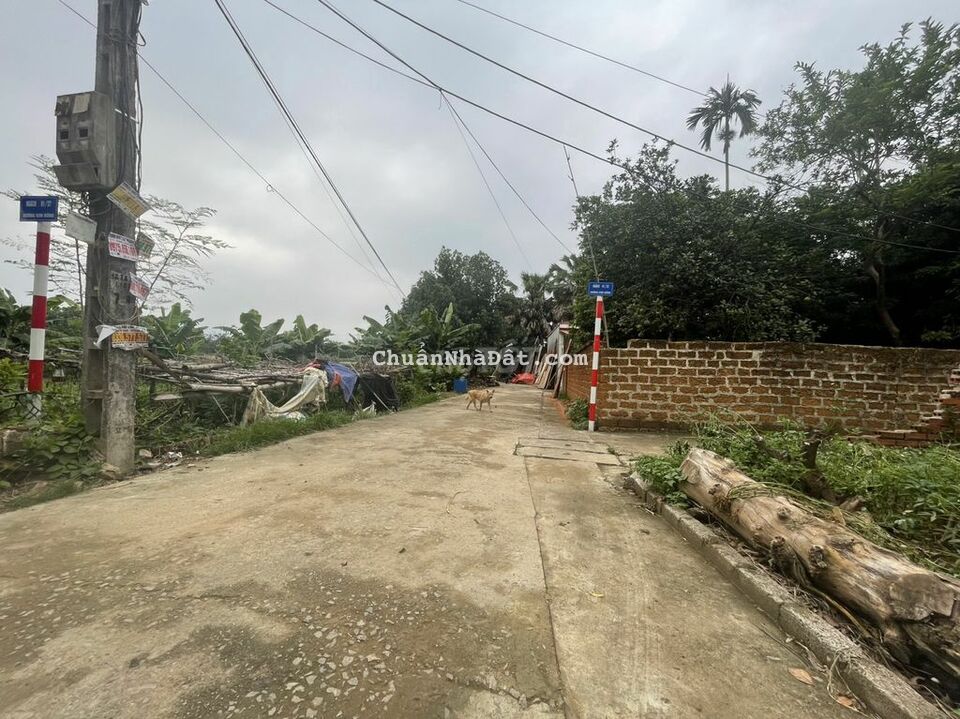 Đất Tân Xã giá mềm, vuông vắn, giá chưa đến 20tr/m, ngay thôn 3