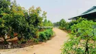 BÁN ĐẤT SAO QUANH SUỐI 200 thổ NGAY LONG KHÁNH