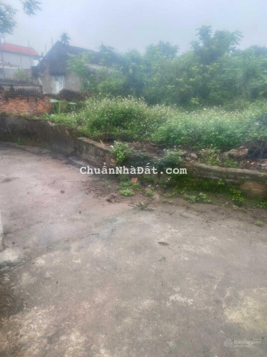 Bán đất 65m2 đất Vạn Phúc, Thanh Trì, MT 5m, oto đỗ ngày đêm, 1.85 tỷ