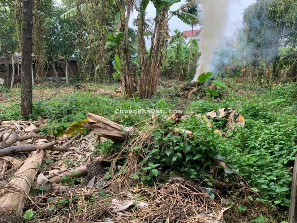 NGỘP NGỘP: 300m TC 160m NGANG 14m GẦN CHỢ BUNGSS