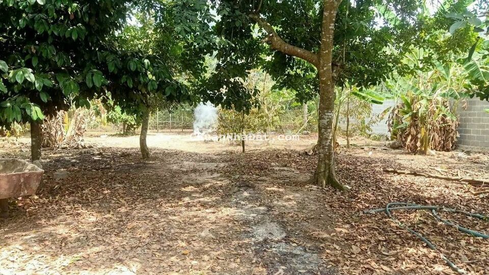 Bán 1,1 sào Xuân Thọ có 100m thổ cư gần MT Xuân Lộc Long KHánh