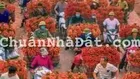 Giảm giá bán gấp giá rẻ đất chia lô, mặt Chợ kinh doanh, ô tô đỗ, 110m, mt 4.5m, 1 tỷ Bắc Giang.