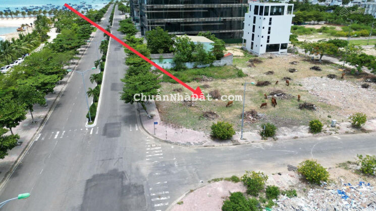 Bán đất đường Nguyễn Cơ Thạch KĐT mới Vĩnh Hoà Phường Vĩnh Hoà Nha trang, 872,8m2 ( ngang 21,98m)