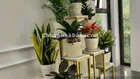 Chủ giảm sâu bán gấp mặt phố Trung Kính - Lô góc kinh doanh - 300m2 - MT 15m - 83 tỷ