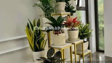 Chủ giảm sâu bán gấp mặt phố Trung Kính - Lô góc kinh doanh - 300m2 - MT 15m - 83 tỷ