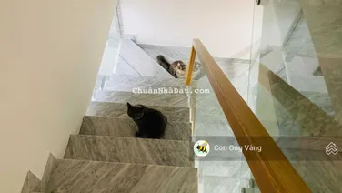 Bán nhà 4 tầng VCN Phước Hải, có sổ đầy đủ nội thất giá bán: 7,9 tỷ