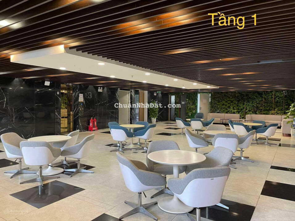 Hot! Toà nhà mặt tiền Lạc Long Quân, 5 lầu, thu nhập 300 triệu, 8mx20m, giá chỉ 200 triệu/m2