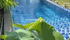 bán gấp Nhà vườn đẹp nhất khu A. 395m2 full nội thất cao cấp. MTG