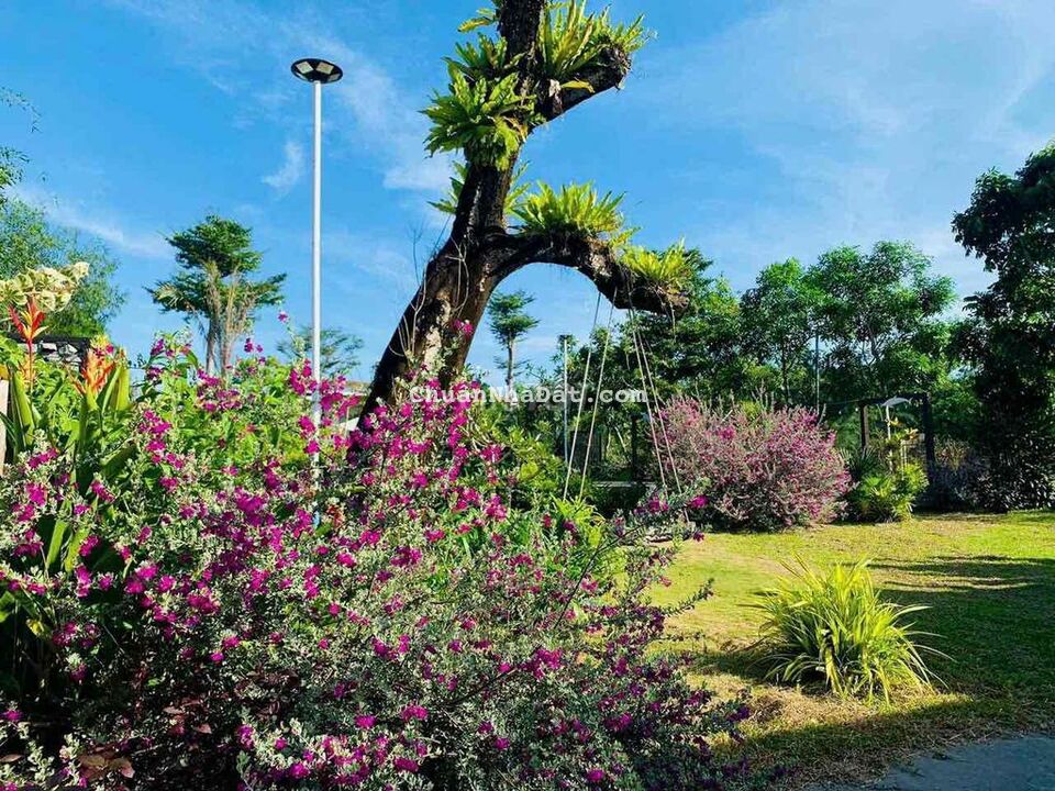 nhà vườn siêu đẹp gần biển Lộc An