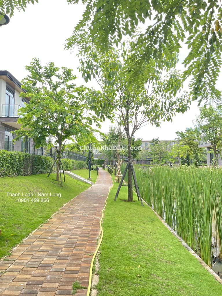 Biệt thự đơn lập 248m2, sau nhà là kênh đào, mua từ CĐT, cách PMH 35P