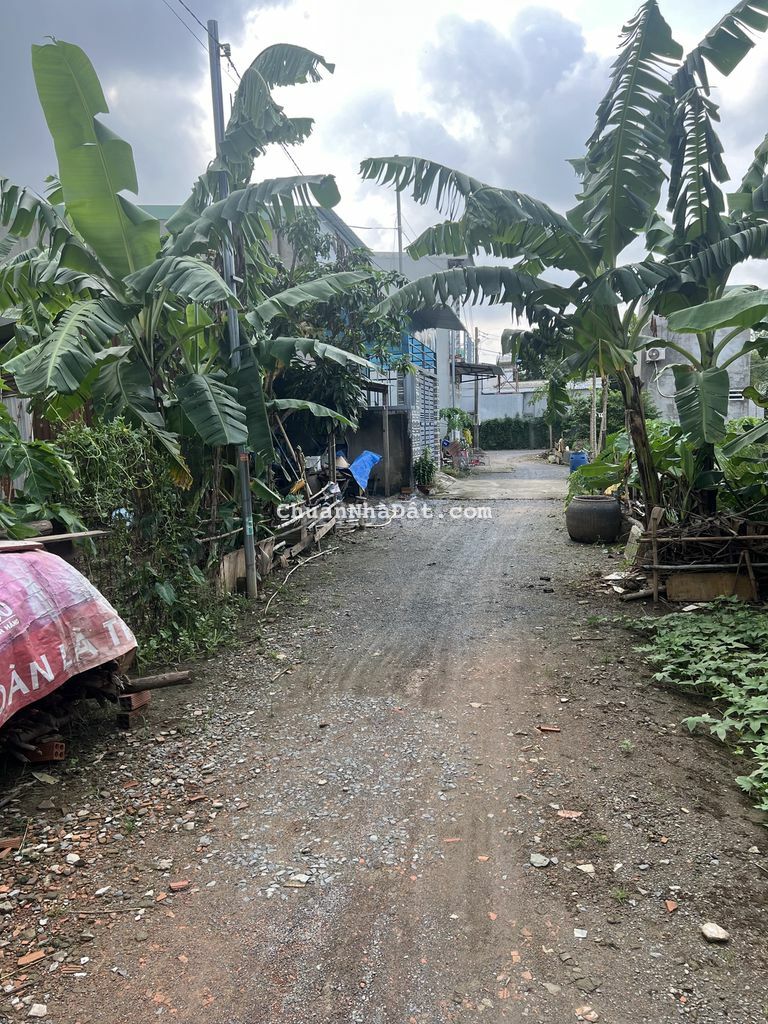 Nhà giá rẻ dành cho người thu nhập thấp