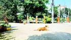 5x13 3 lầu hxh, hướng Tây Nam, nhà đẹp