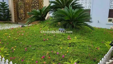 CẦN BÁN BIỆT THỰ ĐẸP HÀM TIẾN MŨI NÉ GẦN BIỂN TP PHAN THIẾT GIÁ RẺ