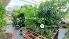 Bán nhà HXH 8m đường Nguyễn Tri Phương Quận 10. DT: 5.5x22m, trệt 3 lầu giá 19.5 tỷ TL