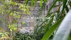 Biệt thự 4 tầng hồ bơi sân vườn MT đường số 66 Thảo Điền 8x26 CN 202.3m2 HĐT 70tr/th. Giá 32ty TL