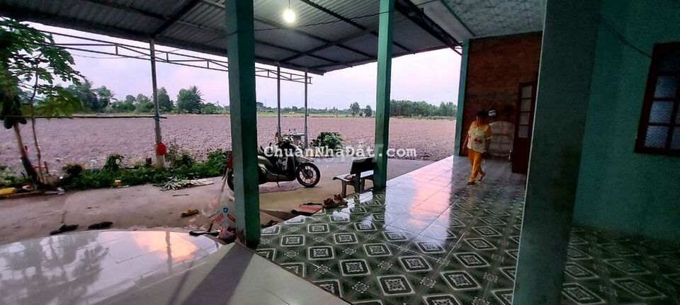 Bán 2 căn nhà cấp 4 liền kề