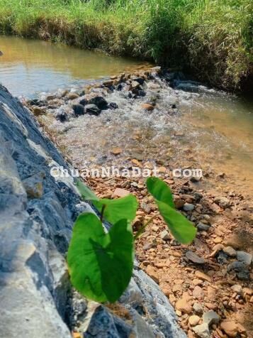 BIỆT THỰ NGHỈ DƯỠNG - KINH DOANH ĐỈNH CAO LUÔN FULL PHÒNG