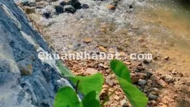 BIỆT THỰ NGHỈ DƯỠNG - KINH DOANH ĐỈNH CAO LUÔN FULL PHÒNG