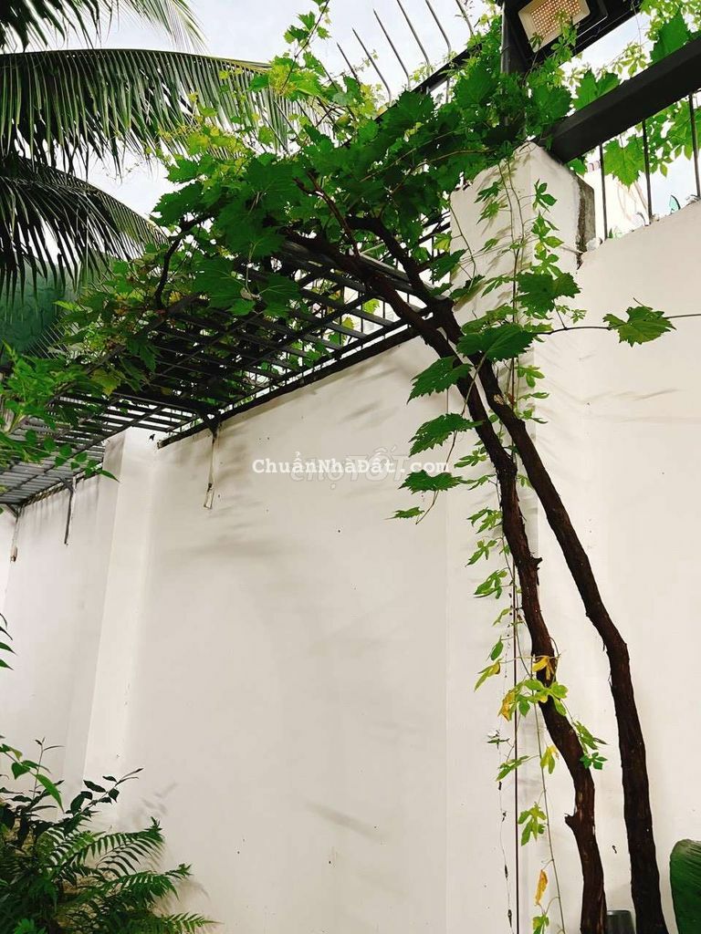 Nhà Vườn Biệt Thự MiNi Ngay Trung Tâm Thành Phố 352m² Lương Thế Vinh