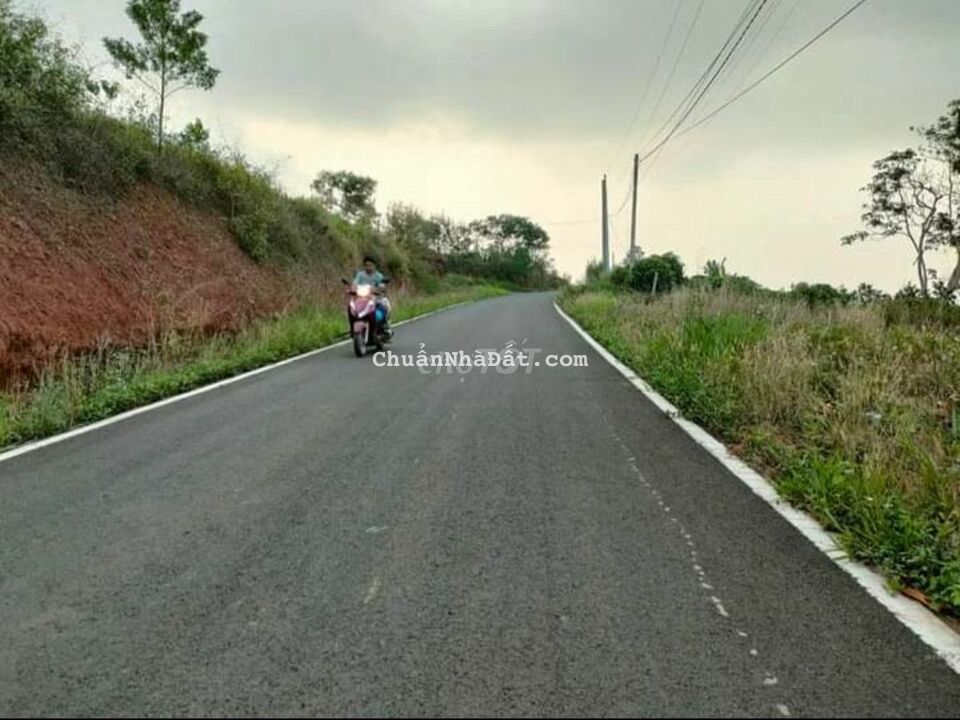 Bán Đất Mặt Tiền Nguyễn Anh Ninh - Đambri, Tp Bảo Lộc - Lâm Đồng