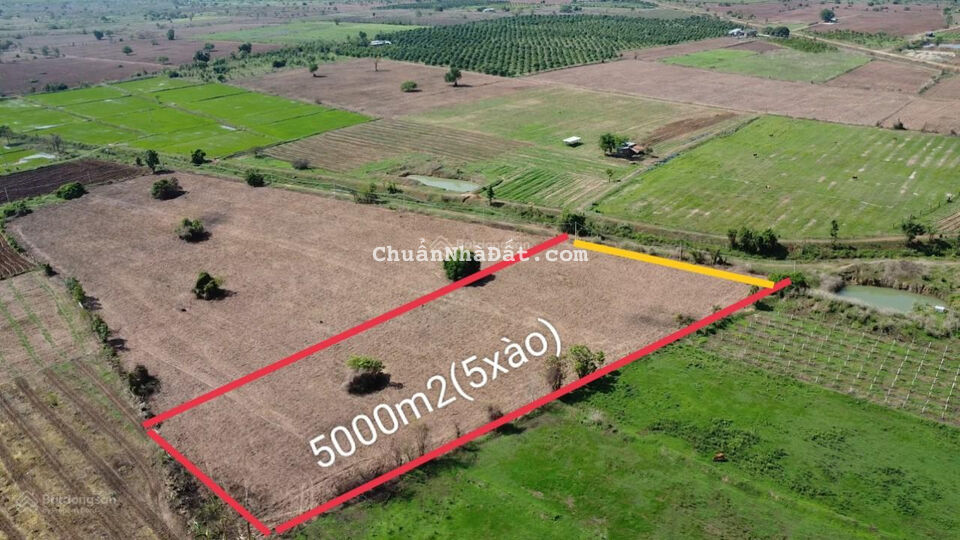 Bán 5000m2 đất cách TP HCM chỉ hơn 2,5h di chuyển, ngay khu dân cư, làm nhà vườn đẹp, giá 520 triệu