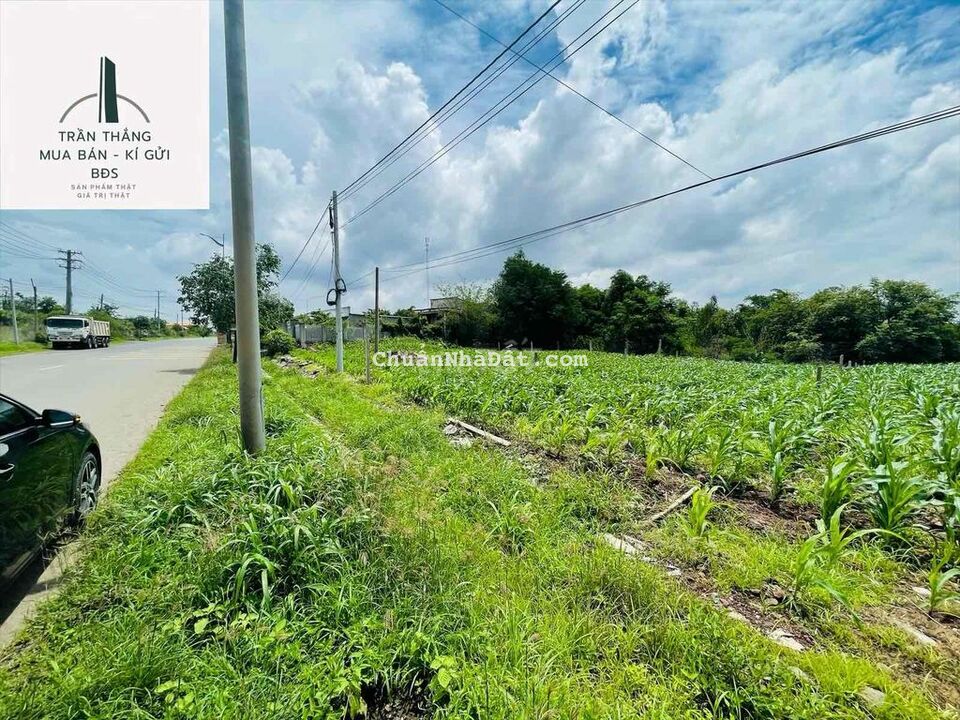 Đất MT Xuân Sơn - Đá Bạc có thổ cư - gần trạm dừng chân Bò Sữa LT