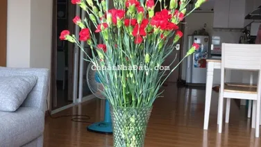 Cho thuê căn hộ Flora Anh Đào 1PN + 1P đa năng full NT