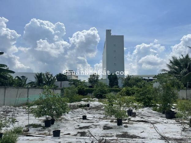 Cho thuê mặt bằng và nhà mặt tiền ngang 25m đường trần quang khải, ninh kiều, cần thơ, DTSD: 2500m2