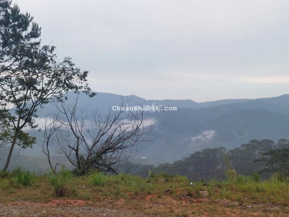 Cho thuê mặt bằng mặt tiền đường Hoàng Diệu p.5 ở ngay trung tâm