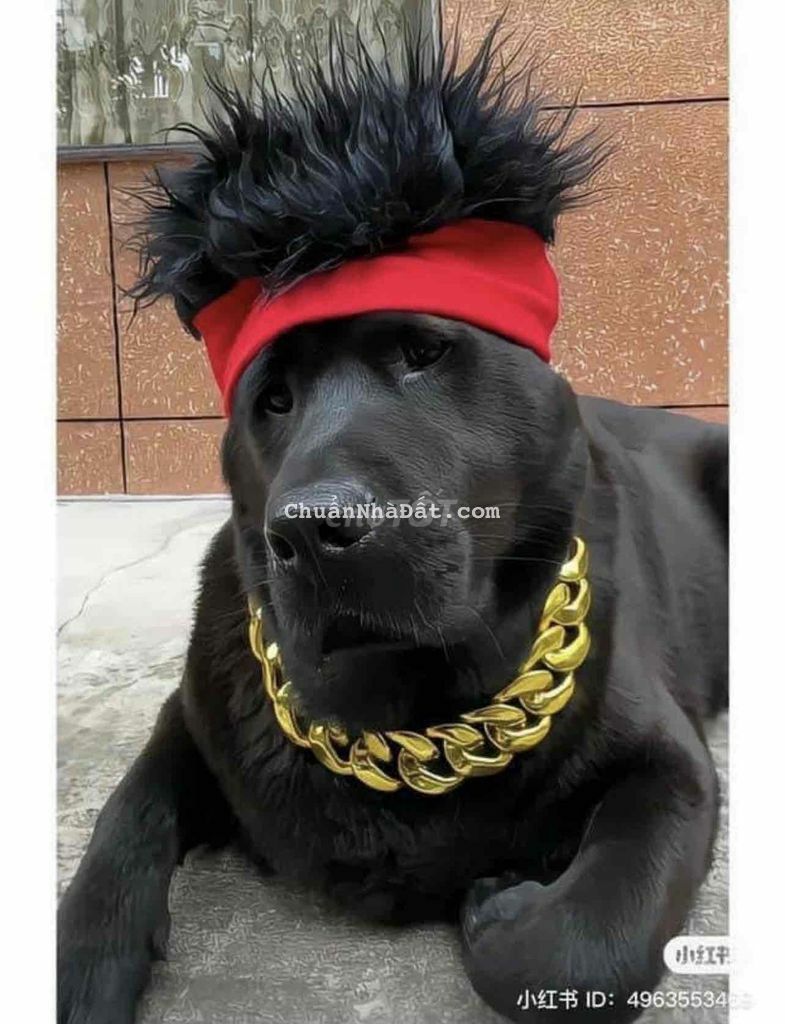 Cần Sang nhượng mặt bằng đang kinh doanh tốt 10.5