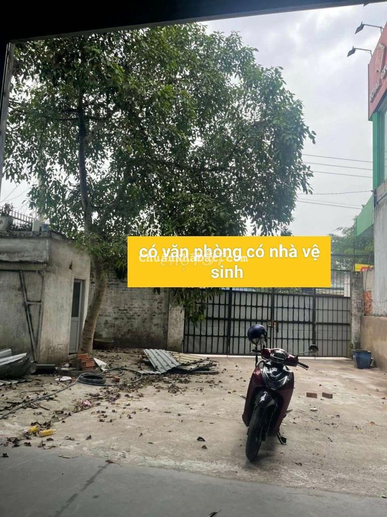 Cho thuê xưởng An Phú _ Thuận An BD